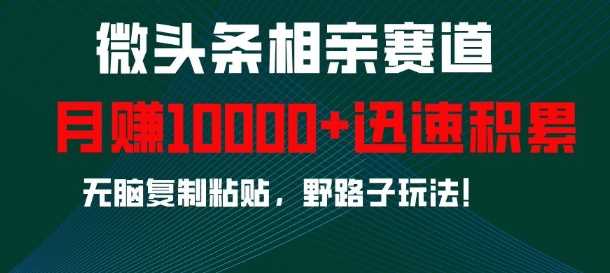 微头条相亲赛道，迅速积累，无脑复制粘贴，野路子玩法，月入1w沁香居-专注分享网络创业项目落地实操课程 – 全网首发_高质量创业项目输出沁香居